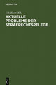 Aktuelle Probleme der Strafrechtspflege