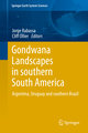 Gondwana Landscapes in southern South America