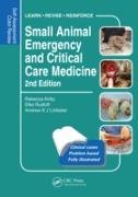 Small Animal Emergency and Critical Care Medicine