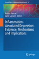 Inflammation-Associated Depression: Evidence, Mechanisms and Implications