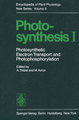 Photosynthesis I