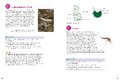 Edexcel International GCSE (9-1) Biology Student Book