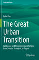 The Great Urban Transition