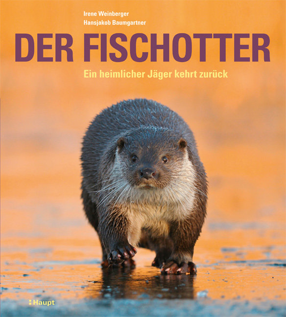 Der Fischotter