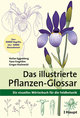 Das illustrierte Pflanzen-Glossar