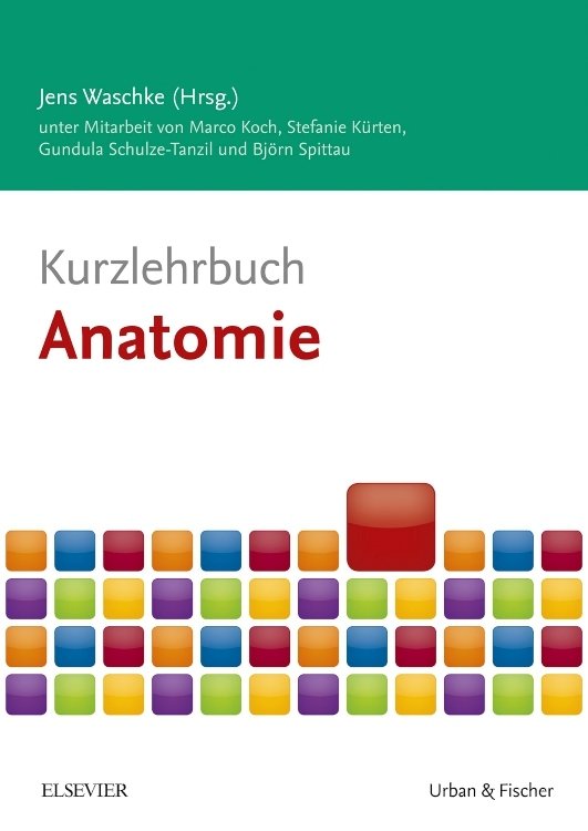 Kurzlehrbuch Anatomie