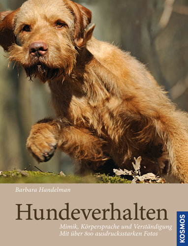 Hundeverhalten