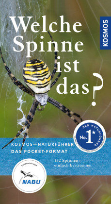 Welche Spinne ist das?