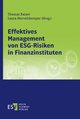 Effektives Management von ESG-Risiken in Finanzinstituten