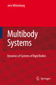 Multibody Systems