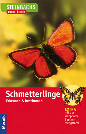 Schmetterlinge