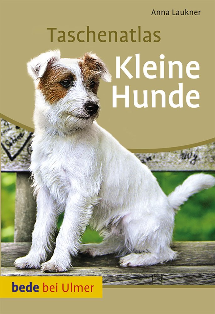 Kleine Hunde