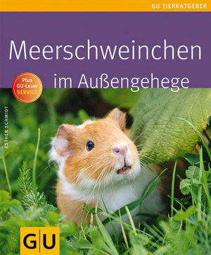 Meerschweinchen im Außengehege