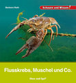 Flusskrebs, Muschel und Co