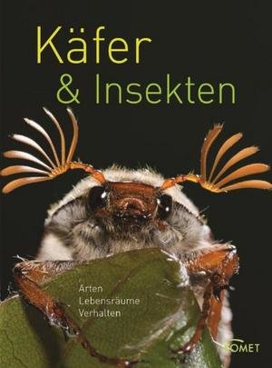 Käfer & Insekten