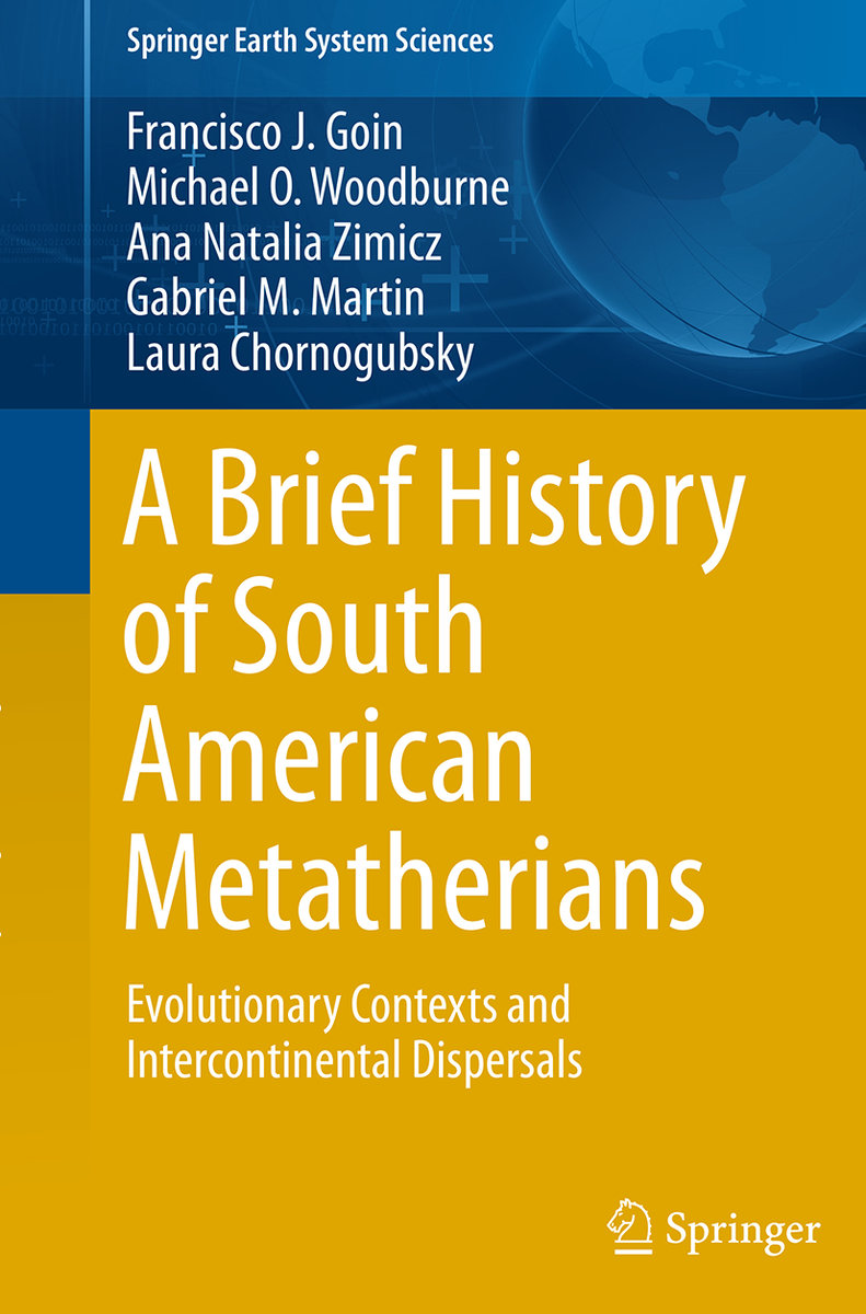 A Brief History of South American Metatherians